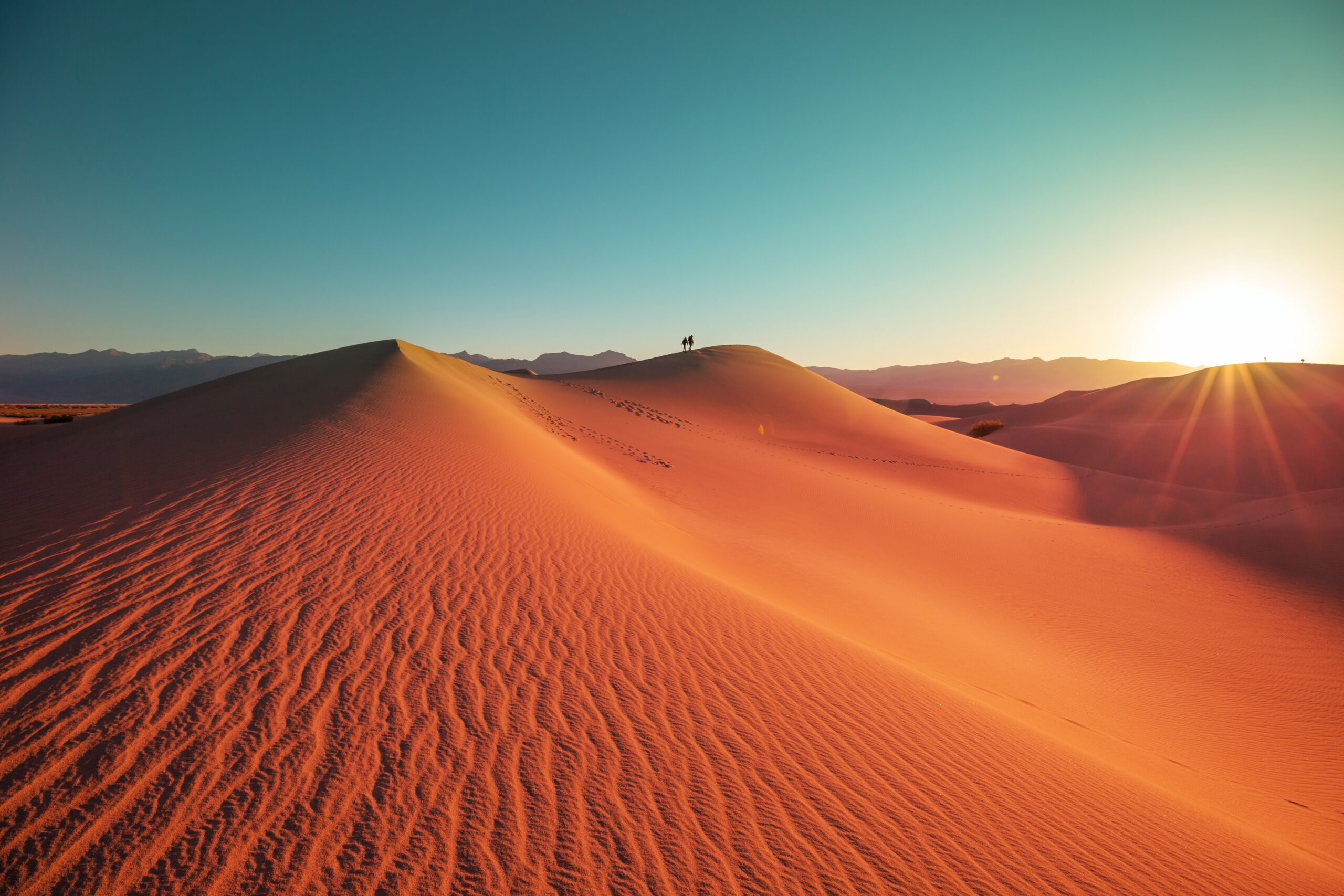 Hot Deserts (4)