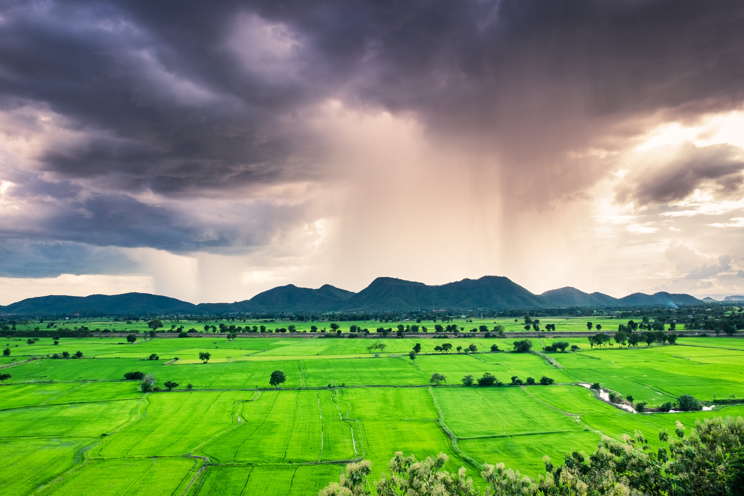 The Asian Monsoon – The World’s Largest Weather System