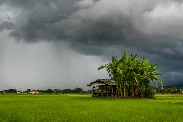 Why monsoon rains have been so unusual heavy this year